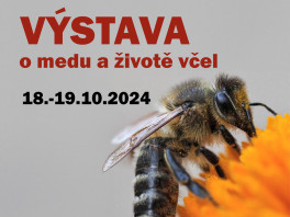 VÝSTAVA o medu a životě včel