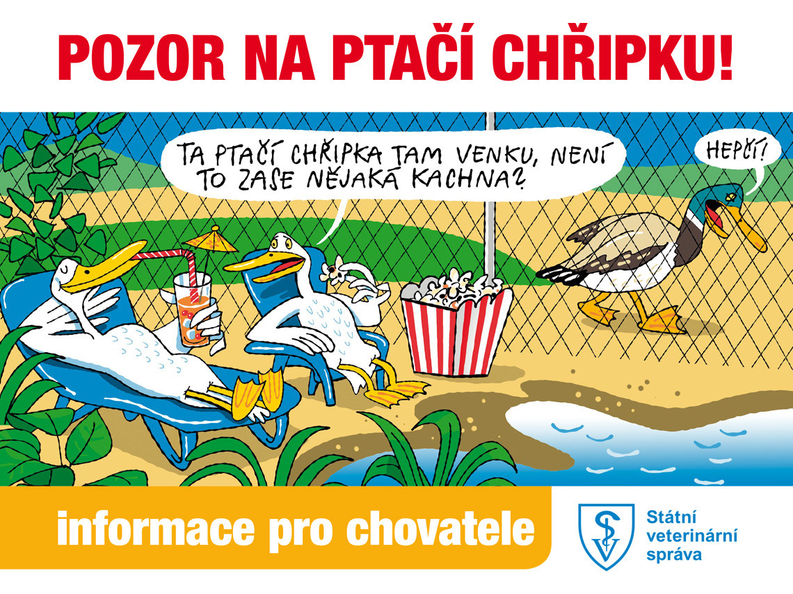ptaci_chripka_2025