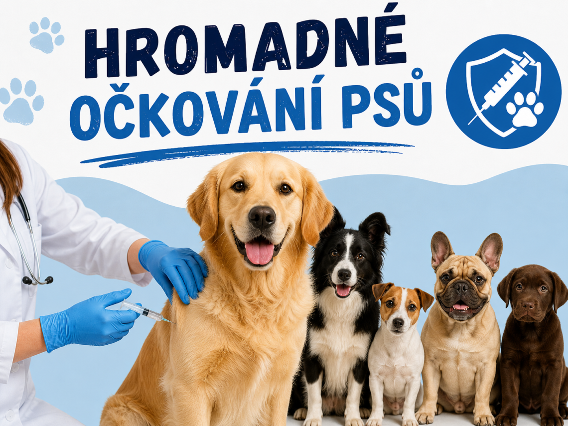 ockovani_psů