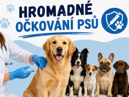 Očkování psů proti vzteklině 2026